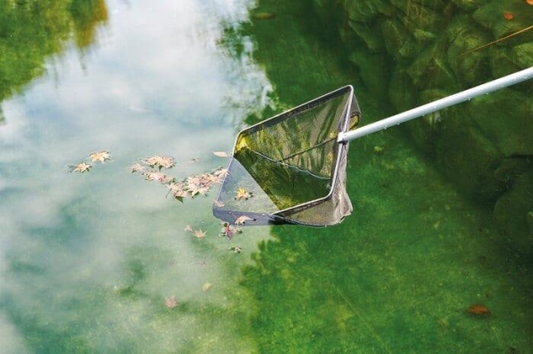 EPUISETTE 38 x 26 x 180 cm GRANDE CARREE