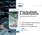 GH+  400gr dureté globale